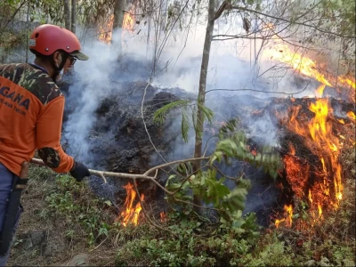 Banser Pasuruan Padamkan Karhutla di Lereng Gunung Arjuno