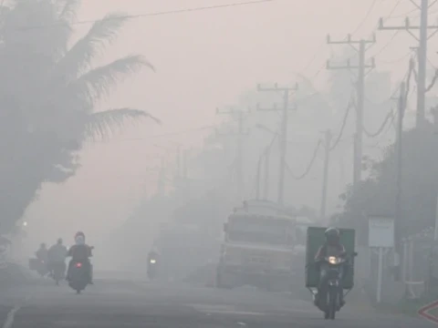 Warga Jambi Prihatin Kabut Asap Jadi Bencana Rutinan