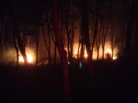 Karhutla Kembali Melanda Lampung dan Bangka Belitung, Lebih dari 83 Hektare Lahan Terbakar