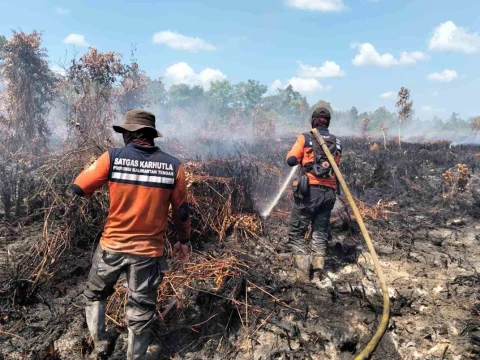 BNPB Catat Karhutla 678 Hektare, Udara Jambi dan Kalteng Masuk Kategori Berbahaya