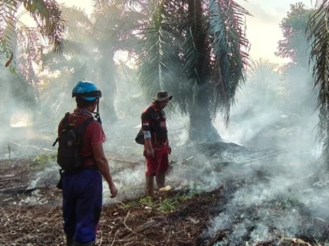 Asap Karhutla Ganggu Tanaman, Harga Pangan di Kotawaringin Barat Melambung