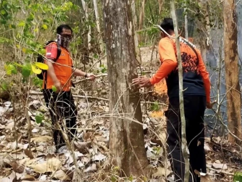 Karhutla Kembali Terjadi di Jateng dan Jatim, Warga Jangan Bersihkan Lahan dengan Cara Dibakar