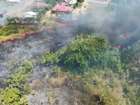 Karhutla Meluas ke Jawa dan Sulawesi, Belasan Hektare Lahan Hangus di Tengah Puncak Musim Kemarau