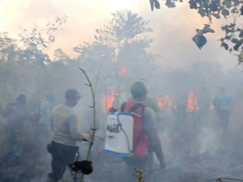 Karhutla Lahap 673 Hektare Taman Nasional Way Kambas Lampung