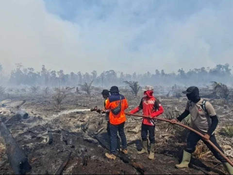 Kebakaran Hutan Terjadi di Aceh dan Sumatra Barat di Hari yang Sama