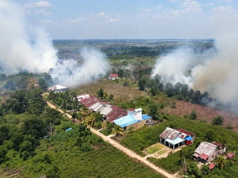 Walhi Soroti Narasi 'Terorisme Ekologi' dalam Penanganan Karhutla