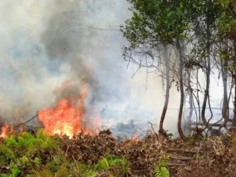 Asap Karhutla Ganggu Penerbangan, Jarak Pandang di Sejumlah Bandara di Bawah 1 Km