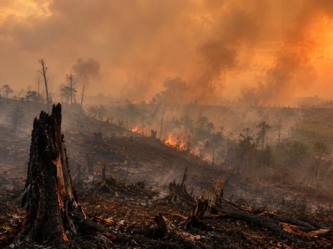 Karhutla dan Salah Urus Negara dalam Tata Kelola Hutan