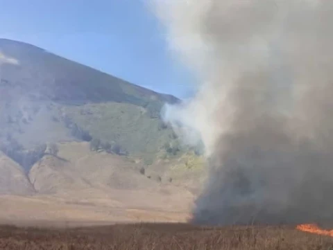 Karhutla Kepung Sejumlah Gunung di Jawa Timur, dari Bromo hingga Semeru