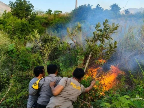 Kebakaran Hutan Berulang, Walhi Soroti Lemahnya Kemauan Politik Pemerintah