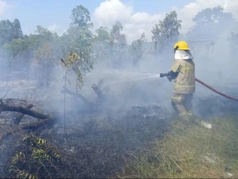 Kebakaran Hutan Kembali Terjadi di Bangka Belitung, Jawa Tengah, Jawa Timur