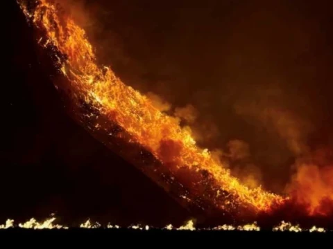 Kebakaran Gunung Bromo Meluas 889 Hektare, BNPB Ungkap Beratnya Medan hingga Minimnya Sumber Air