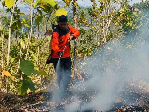 Karhutla Bersamaan di 7 Provinsi, Puluhan Hektare Lahan Hangus