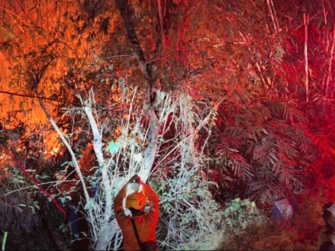 Kebakaran Hutan Landa 4 Daerah di Jatim, Belasan Hektare Lahan Hangus