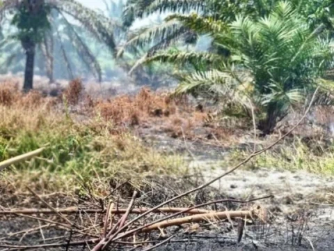 Karhutla Nagan Raya Capai 60 Hektare, NU Aceh Minta Pemerintah Serius Cegah Perluasan