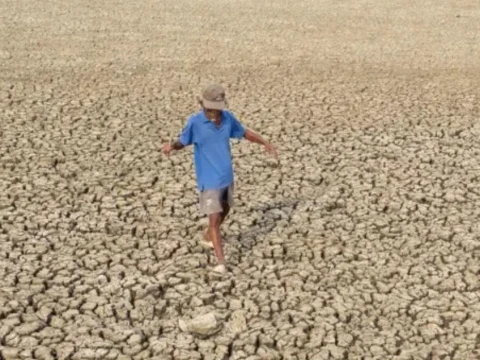 WMO Peringatkan Potensi El Nino Kuat, Risiko Cuaca Ekstrem Meningkat