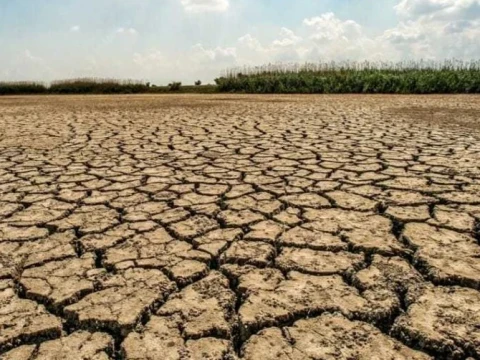 El Nino Diprediksi Berlangsung hingga 2027, Sektor Pertanian Hadapi Ancaman Kekeringan