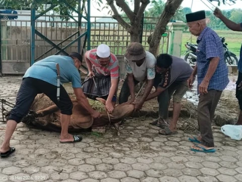 Idul Adha di Gampong Blang Dalam: Semangat Kurban dan Gotong Royong Bangkitkan Harapan