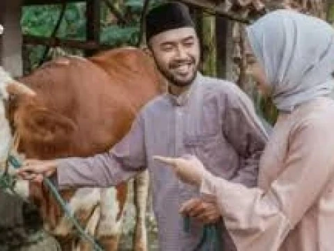 Hewan Kurban Ditembak Saat Mengamuk, Apakah Dagingnya Halal?