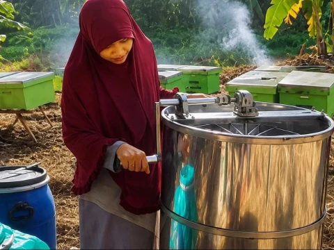 Cerita Peternak Lebah Madu di Kendal Jateng Hadapi Musim Kemarau