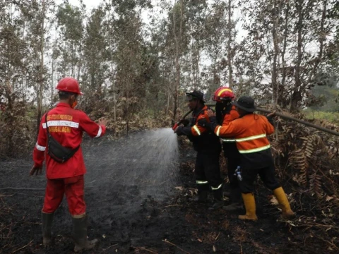 Material Pemadam Karhutla dari Brasil Diuji di Sumsel, Diklaim 10 Kali Lebih Efektif