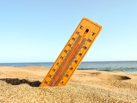Waspadai Dampak Musim Kemarau, Penyakit Pernapasan hingga Heat Stroke Mengintai