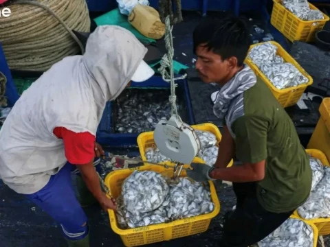 Guru Besar UGM Ungkap Nelayan Rentan Pelanggaran Hak Pekerja di Atas Kapal Perikanan