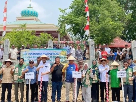 85 Hektare Sawah Pulo Siron Kembali Ditanami, Ansor Bireuen Tekankan Pemulihan Ekonomi Petani