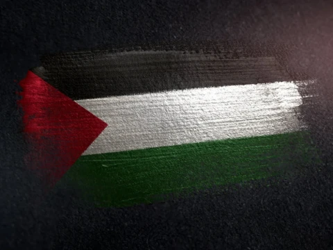 Dukung Palestina, Partai Hijau Inggris Suarakan Penghentian Genosida