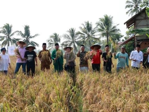 Panen Perdana Beras NU, Bukti Nyata Inovasi Pertanian untuk Perkuat Ketahanan Pangan Nasional