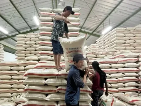 Musim Kemarau dan El Nino Diprediksi Lebih Panjang, Segini Cadangan Beras Pemerintah