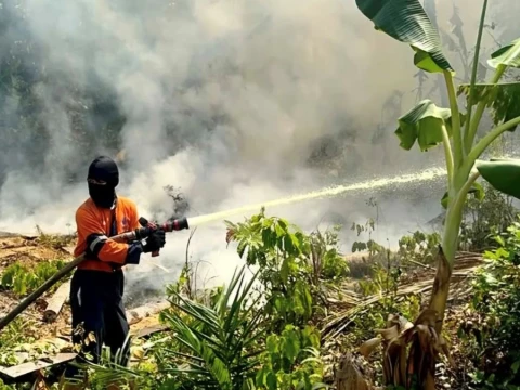 72 Ribu Hektare Lahan Gambut Terbakar di 6 Provinsi