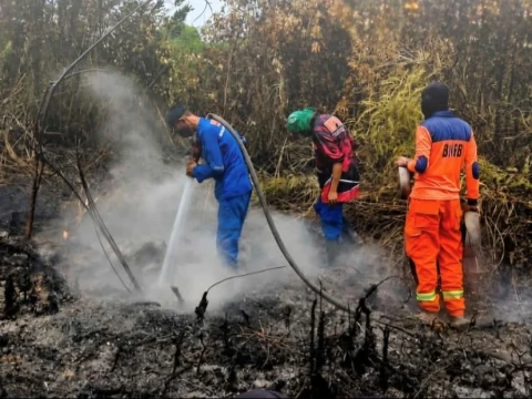 Kendala Pemadaman di 7.334 Titik Api Karhutla 6 Provinsi