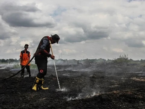 Greenpeace: 81 Tahun Merdeka, Rakyat Masih Terjebak Asap Karhutla