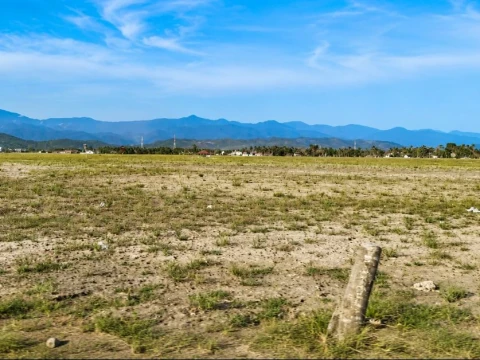 Dua Musim Terlewati, Ratusan Petani Pidie Jaya Gagal Tanam, Sawah Tertimbun Lumpur Pascabanjir