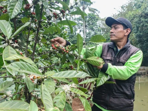 Bertani di Hutan Kota Sanggabuana, Pesanggrahan, Jakarta