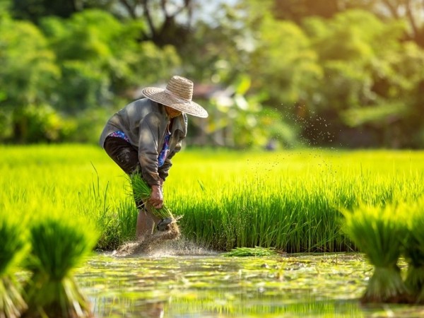 GP Ansor Harap Muktamar NU Hasilkan Solusi bagi Perkembangan Pertanian