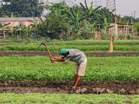 Masyarakat Sipil Soroti Usulan Penghapusan 297 DIM RUU Reforma Agraria