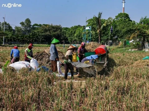 Konflik Agraria Terus Ada, Kerugian Selalu di Pihak Petani