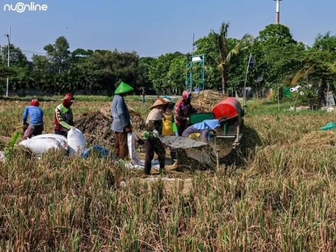 INDEF Sebut Klaim Keberhasilan Sektor Pangan 2025 Lebih karena Faktor Iklim, Bukan Kebijakan