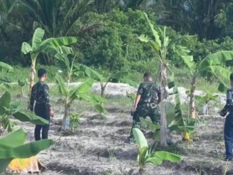 DPR Sebut TNI Terlibat Urus Pertanian Sebuah Kebanggaan, Klaim Bukan Dwifungsi
