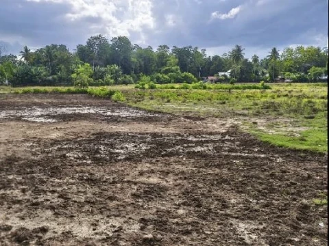PCNU Pidie Minta Pemerintah Segera Selamatkan Sawah Petani Pascabanjir