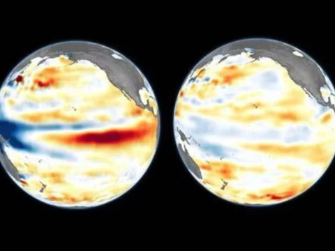 Super El Nino Menguat, Walhi Desak Strategi Penyelamatan di Daerah Kepulauan