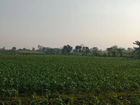 Petani Rentan Terdampak Kemarau Panjang, Teknologi Jadi Kebutuhan Mendesak Atasi Kekeringan