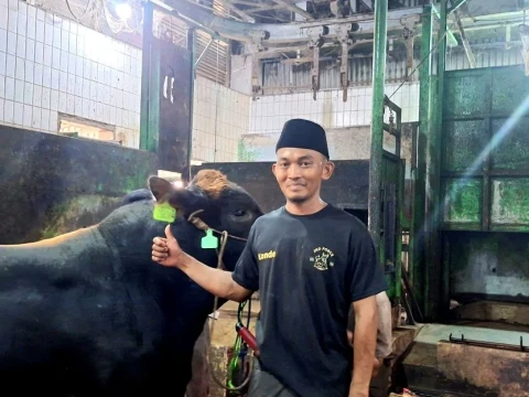 Ikut Pelatihan Juleha Jadi Kunci Tangani Hewan Kurban Selama Penyembelihan