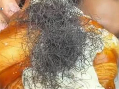 Viral Croissant ‘Berambut’: Menakar Prinsip Halalan Tayyiban dalam Islam