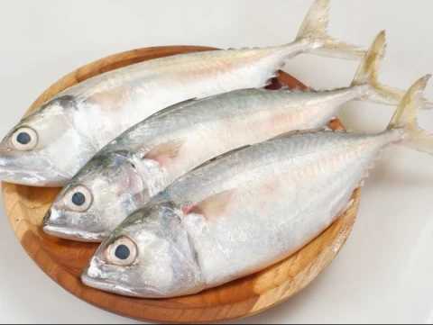 Ikan Baru Ditebar Langsung Ditangkap Warga: Apakah Halal?