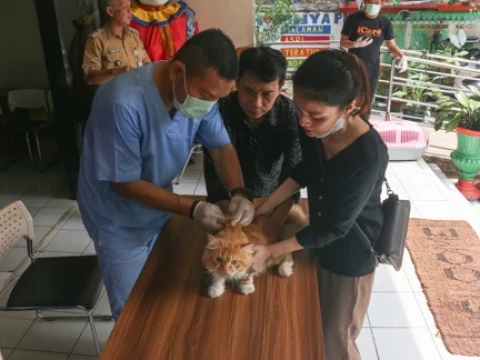Menjaga Kesehatan Hewan Peliharaan melalui Vaksinasi Rabies