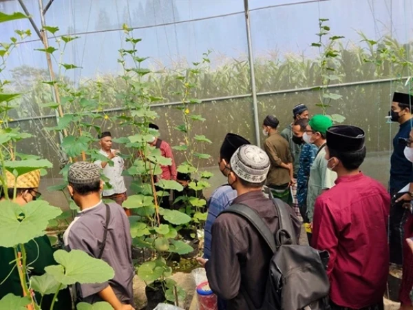 RMI PCNU Klaten Gandeng FKPP, Bekali Pesantren Budi Daya Mentimun untuk Kemandirian Pangan