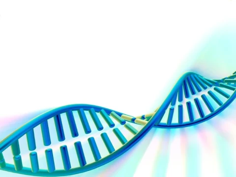 Menjelang Bahtsul Masail Muktamar ke-35 NU: Ke Mana Arah Hukum Komersialisasi Data DNA?